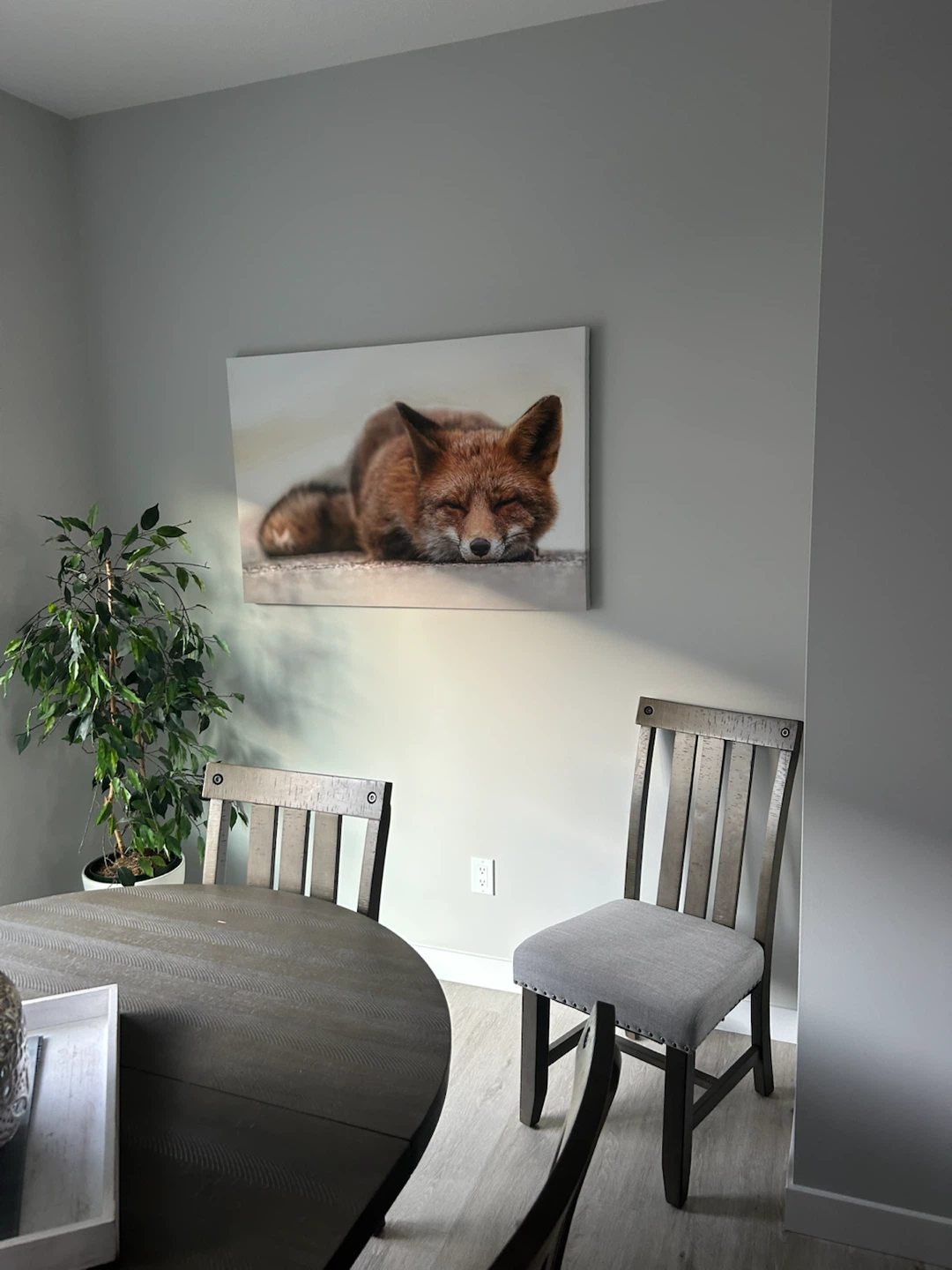 Framed Fox Wall Art