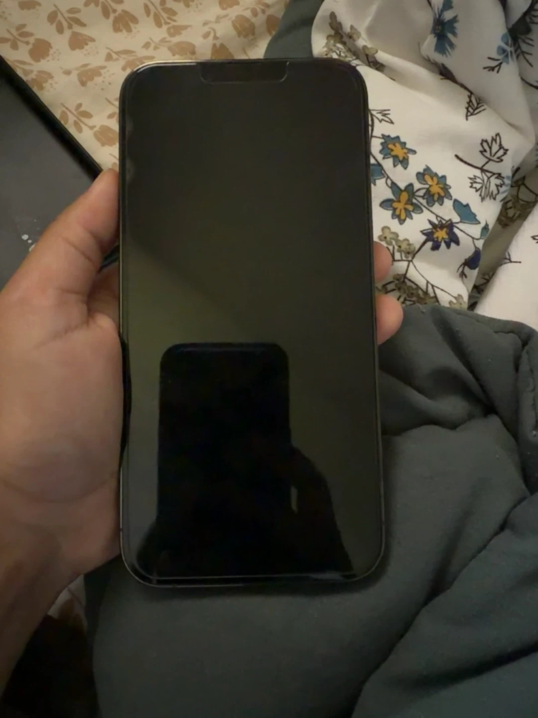 Apple iPhone 13 Pro - Graphite - photo 2