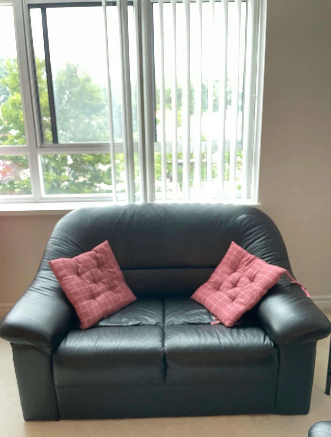 Genuine Leather Sofa Set - photo 2