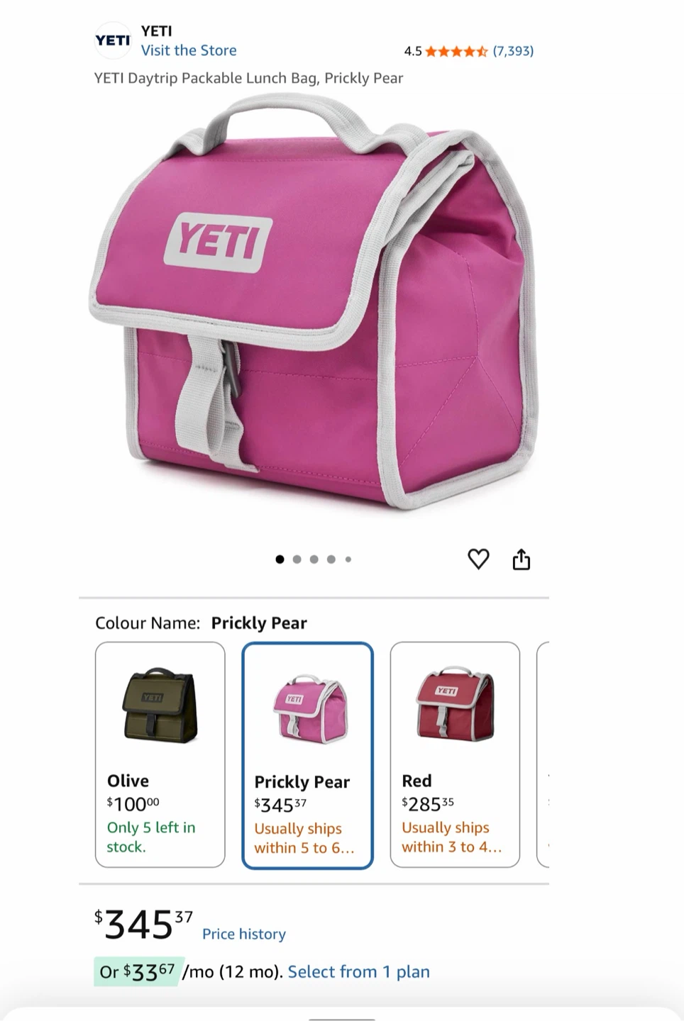 Yeti Daytrip Packable Lunch Bag - Prickly Pear