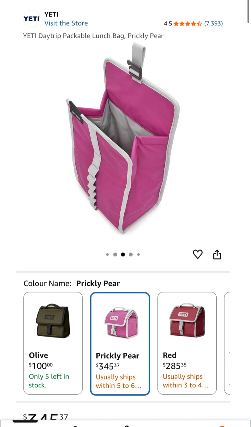 Yeti Daytrip Packable Lunch Bag - Prickly Pear - photo 2