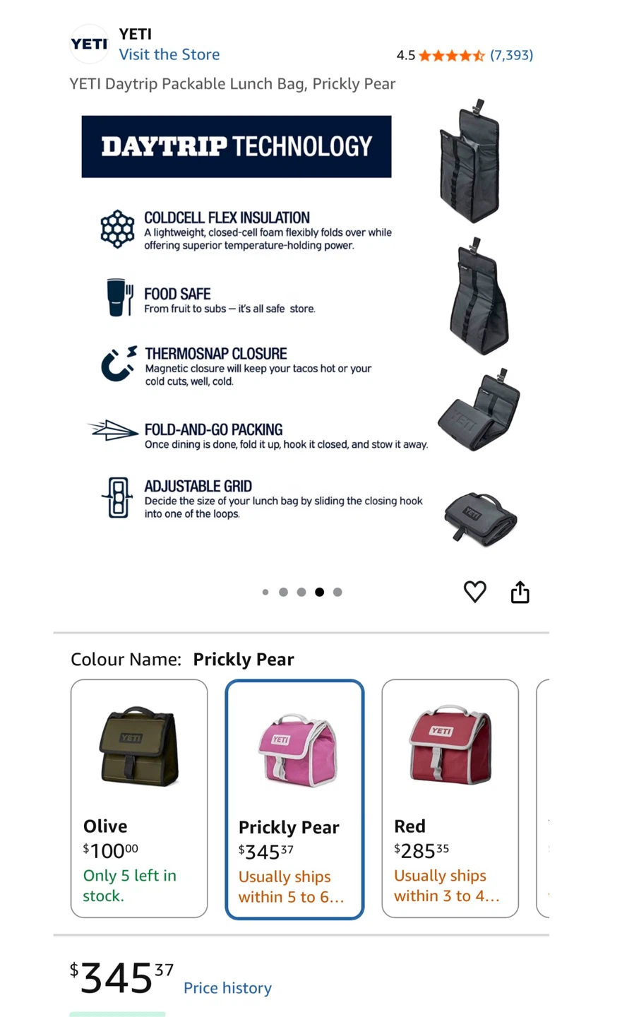Yeti Daytrip Packable Lunch Bag - Prickly Pear - photo 4