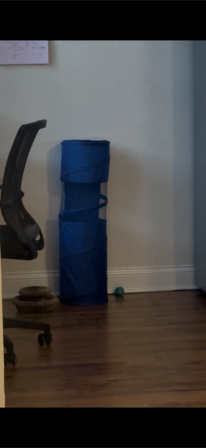 Blue Pop-Up Pet Tunnel