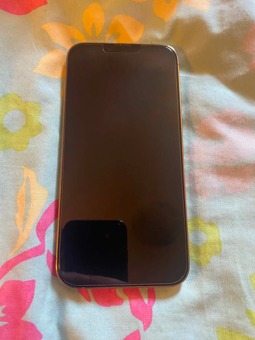 Apple iPhone 13 Pro - photo 3
