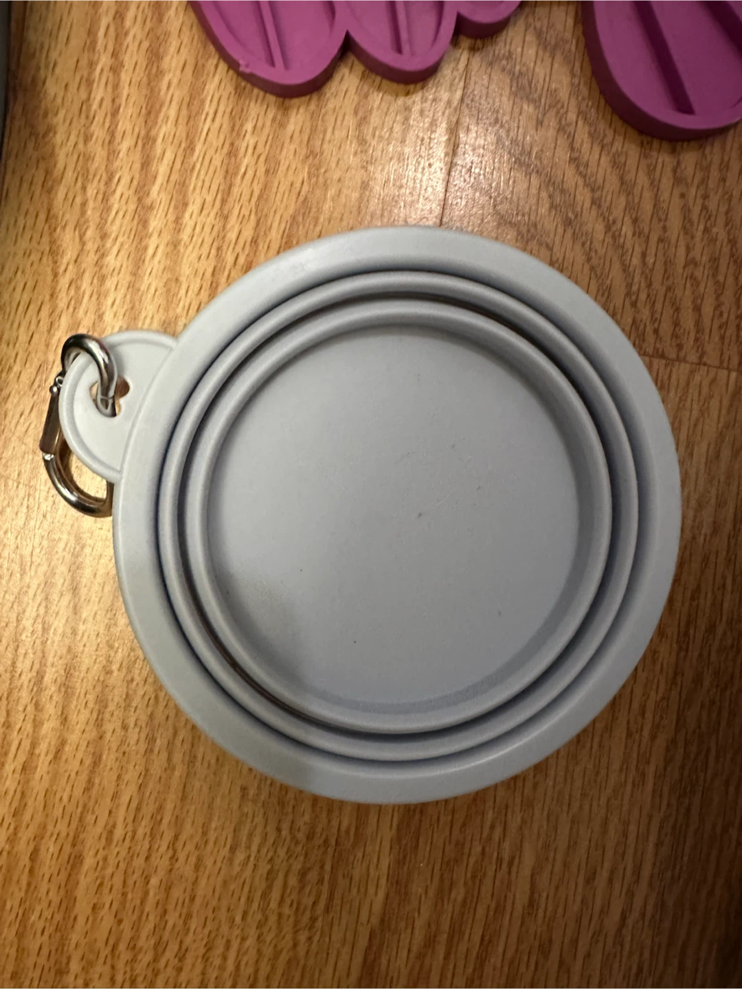 Collapsible Pet Bowl