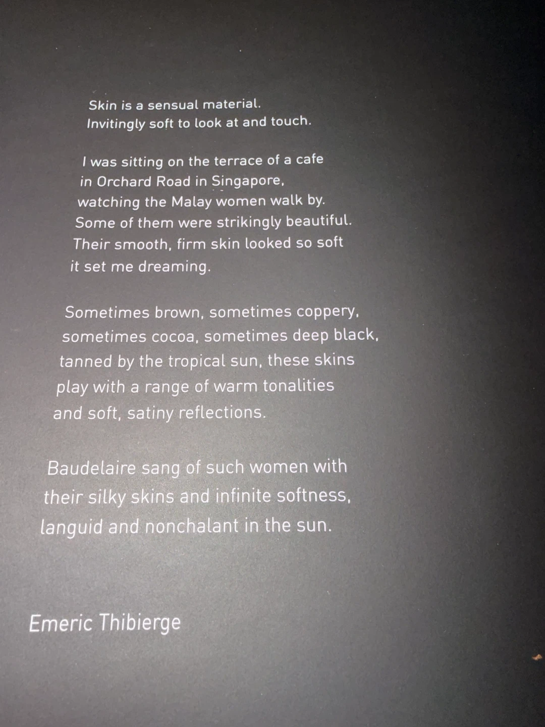 Emeric Thibierge "Skin" Curious Collection Book Folio (P. 2007) - photo 5