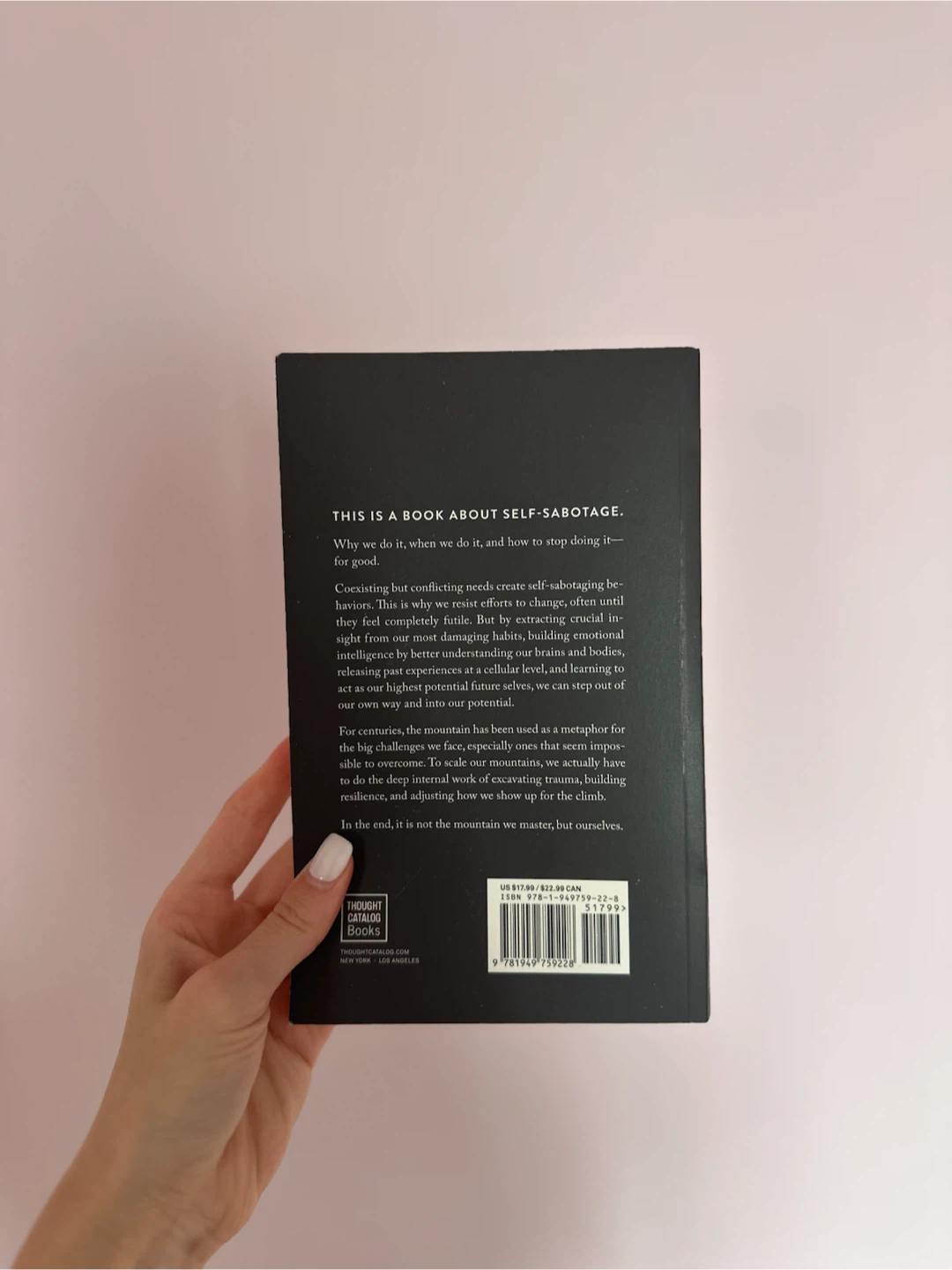 The Mountain Is You Book - photo 2