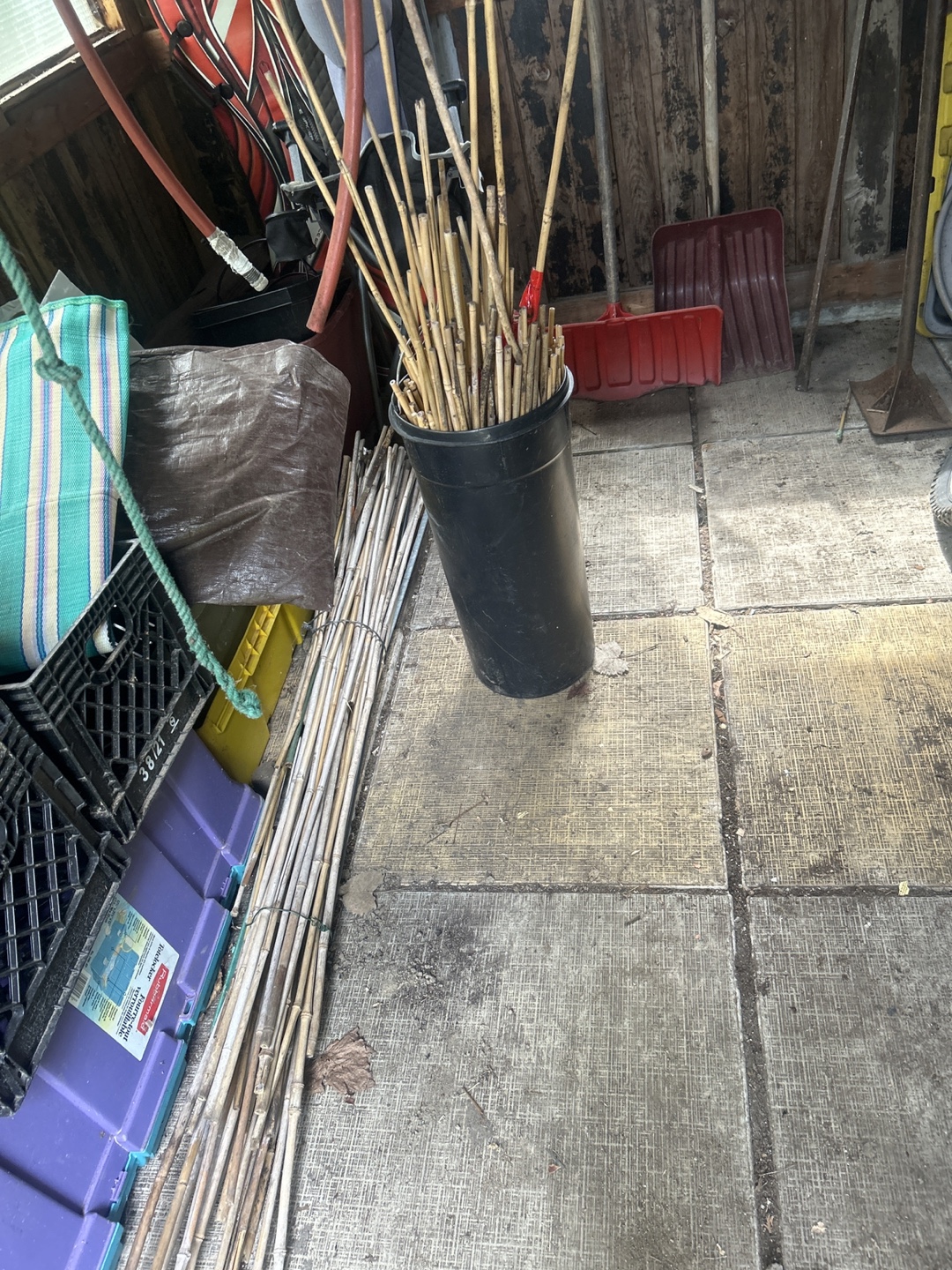 Free Bundle of Bamboo Stakes