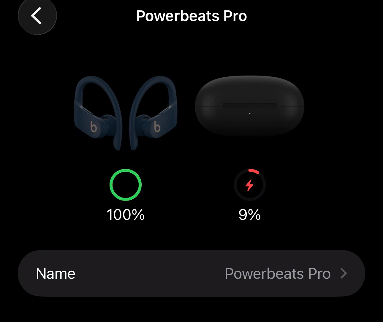 Beats Powerbeats Pro - Navy - photo 4