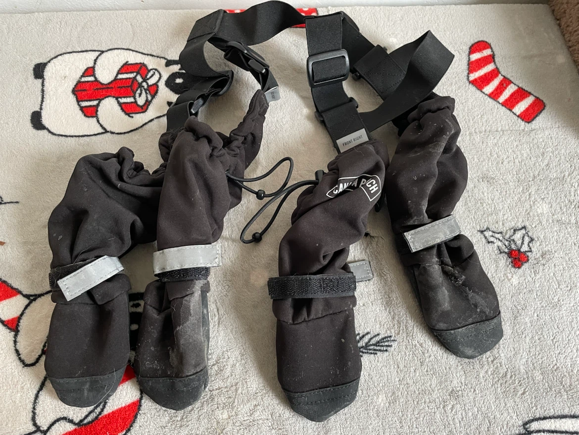 Size 3 Short Canada Pooch Suspender Dog Boots