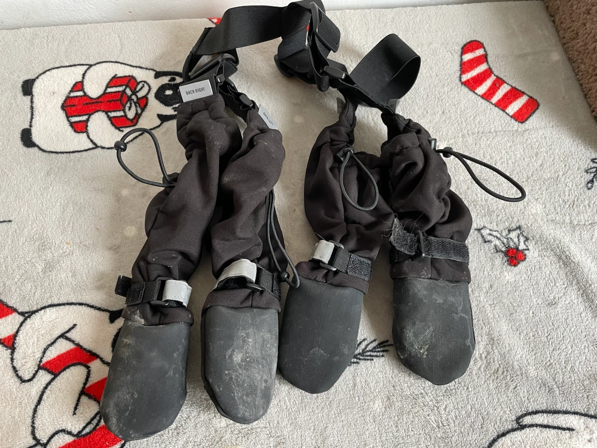 Size 3 Short Canada Pooch Suspender Dog Boots - photo 2