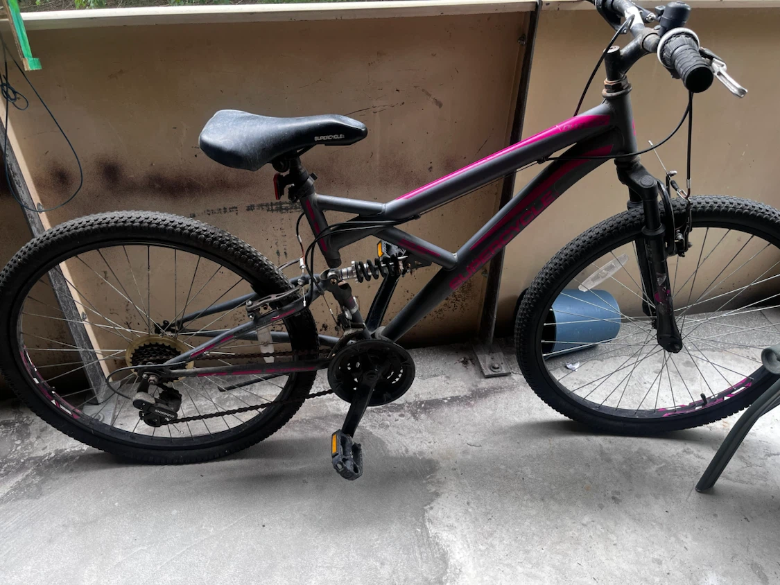 Grey pink Mountain Bike