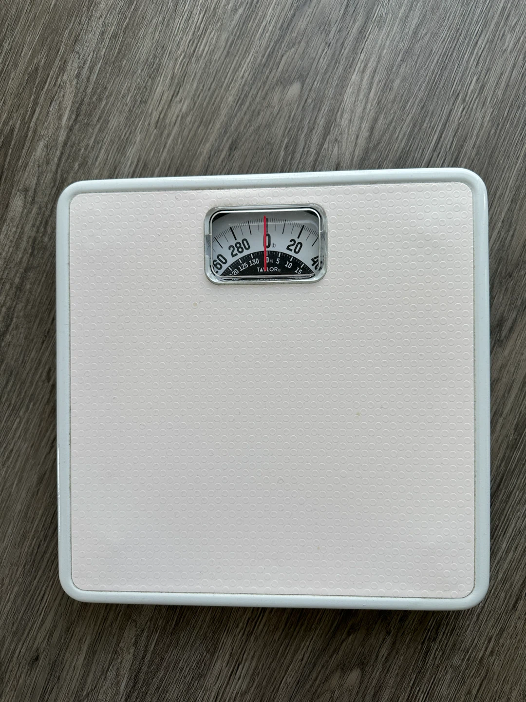 Taylor Mechanical Scale