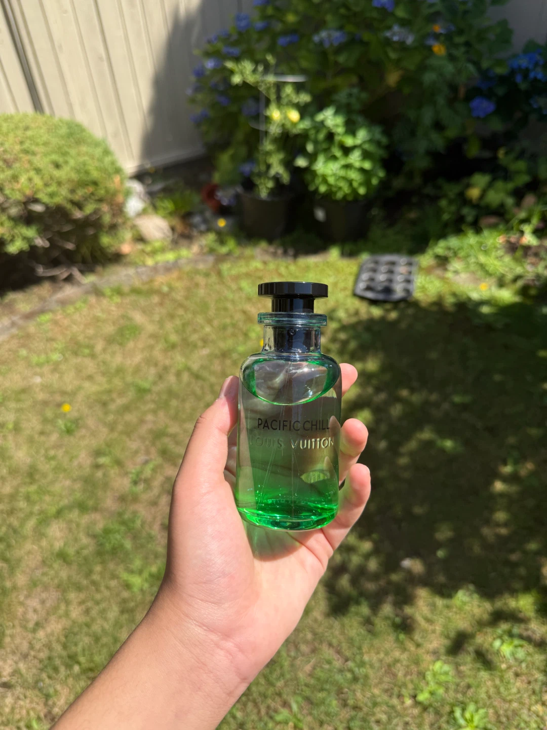 Louis Vuitton Pacific Chill Cologne - photo 4
