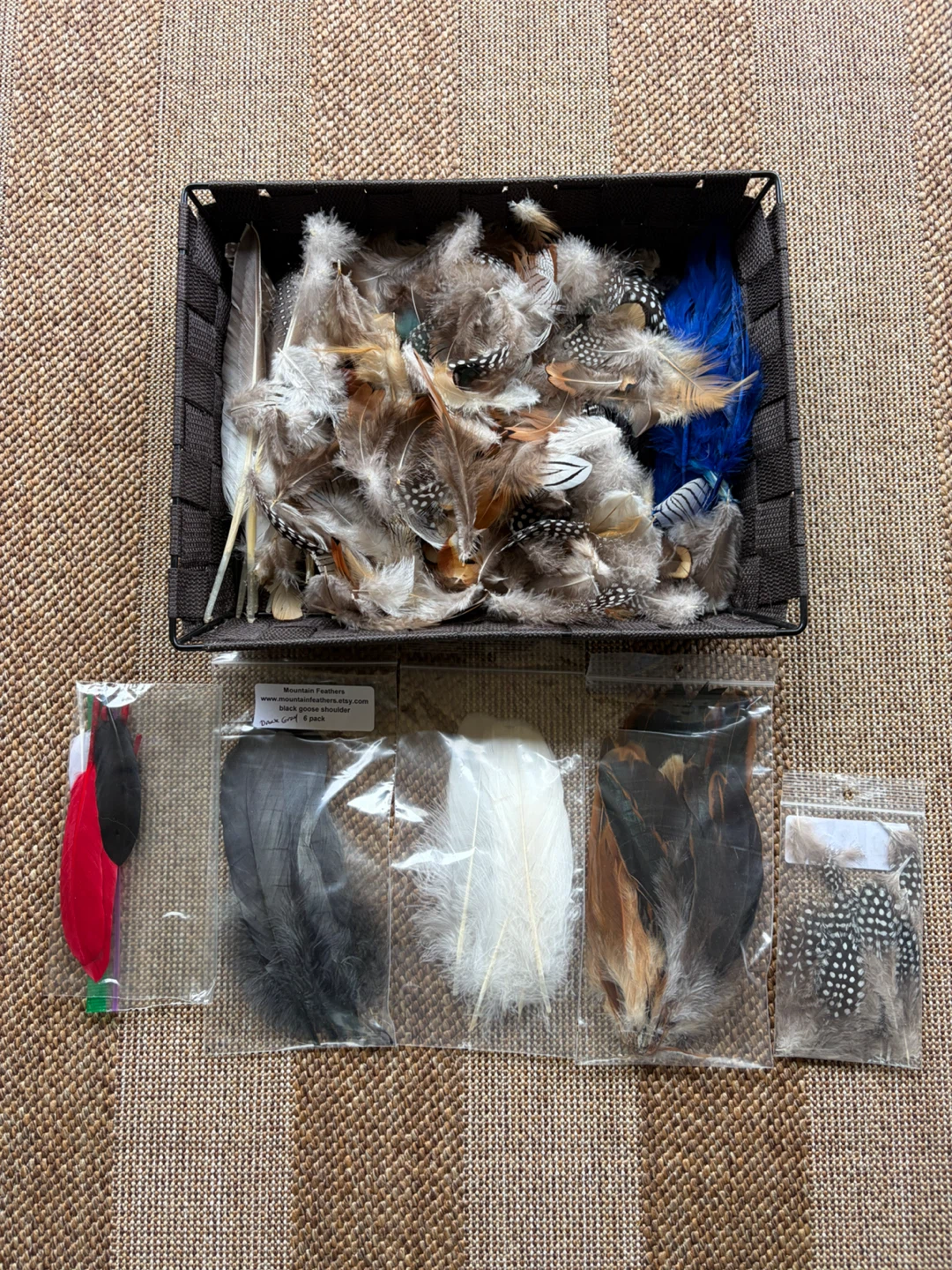 Mixed Feathers Collection