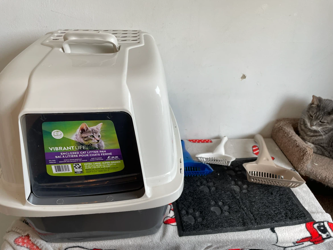 XL Hooded Cat Litterbox