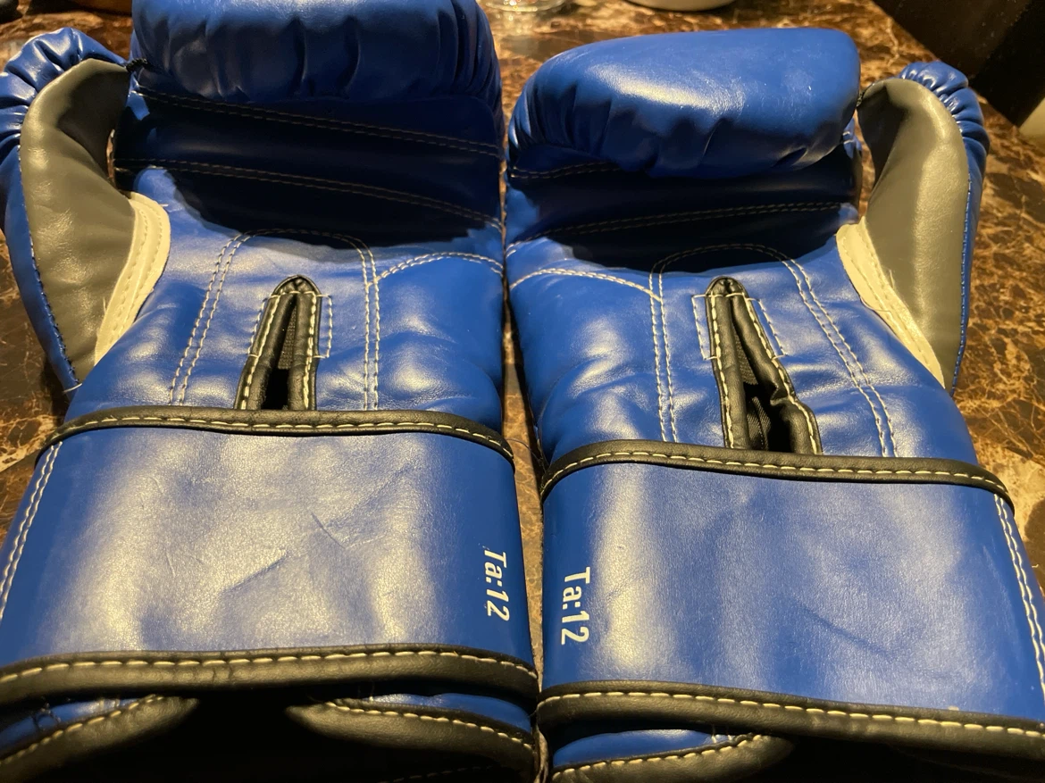Everlast Blue Boxing Gloves - photo 2