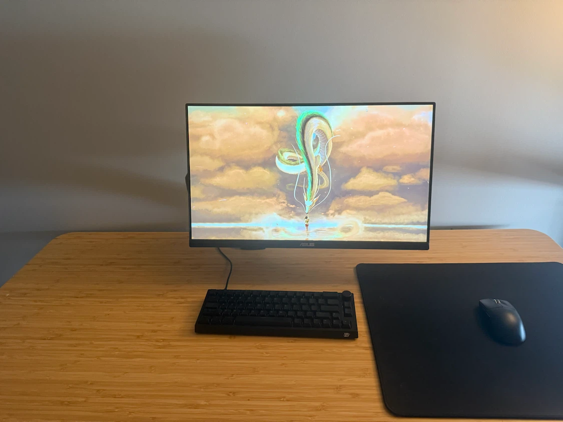 Gaming Setup - photo 2