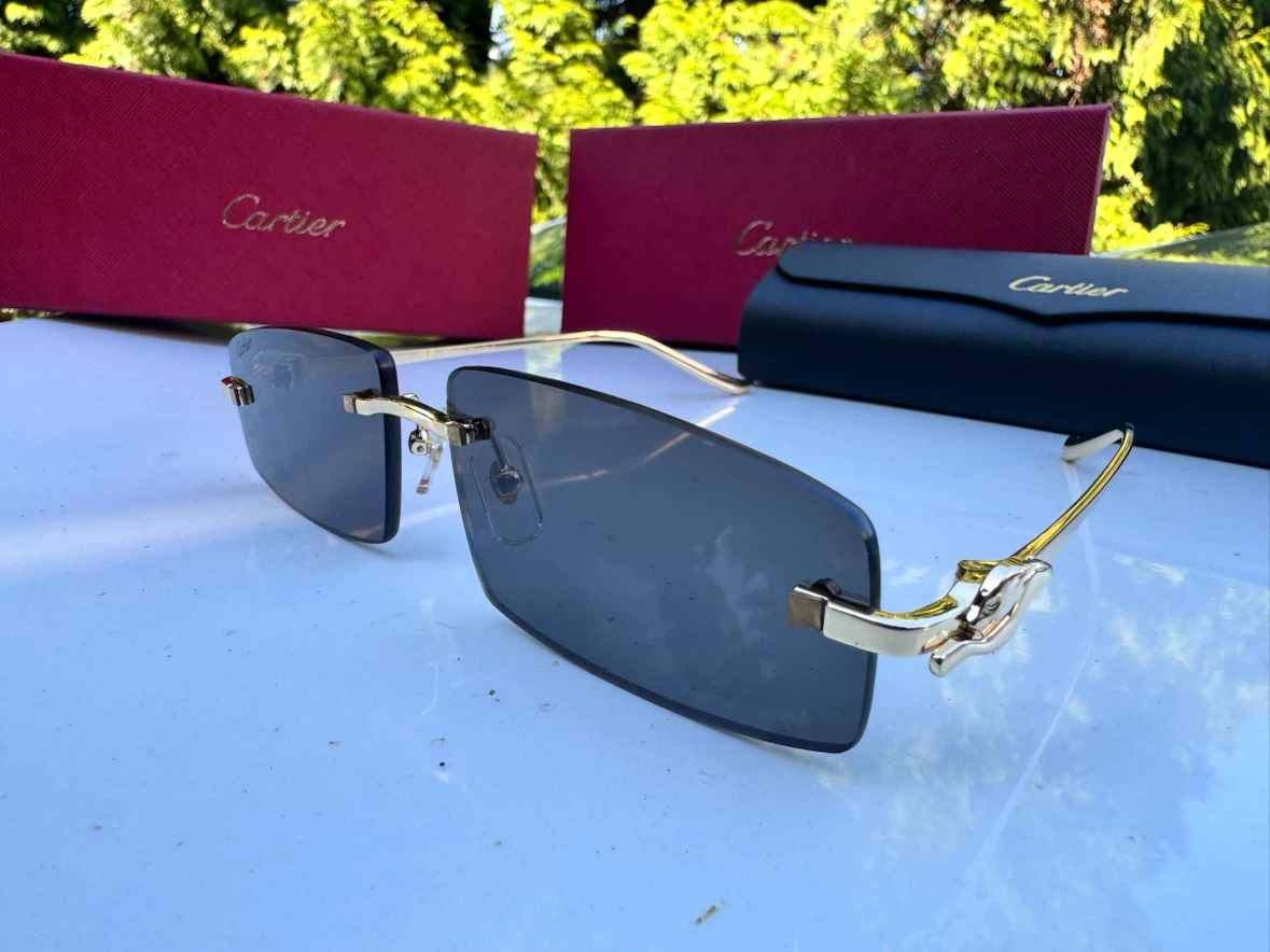 Cartier Sunglasses CT0925S