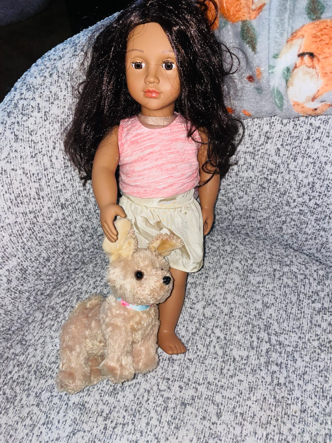 Our Generation 18 inch doll with outfit and plush dog