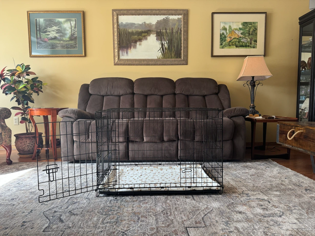 Dog Crate