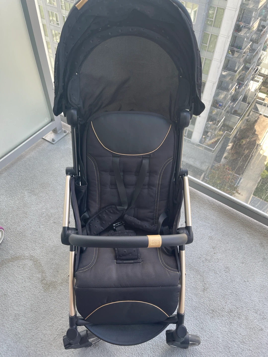 Chicco Stroller - photo 2