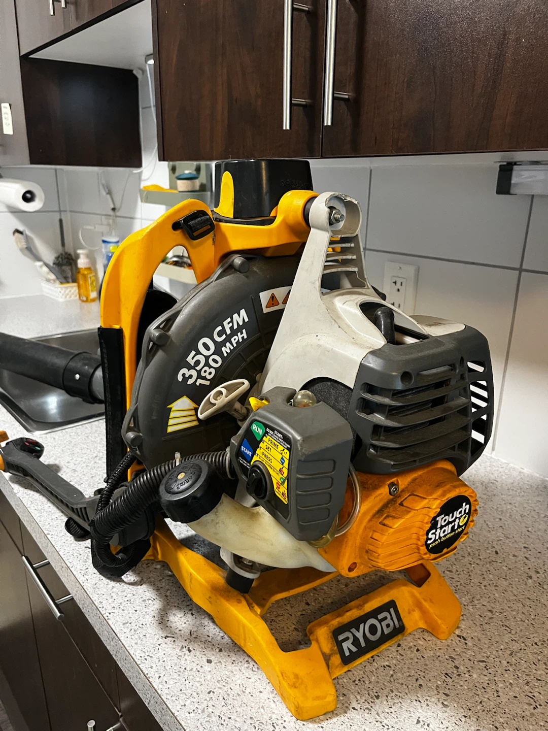 Ryobi leaf blower