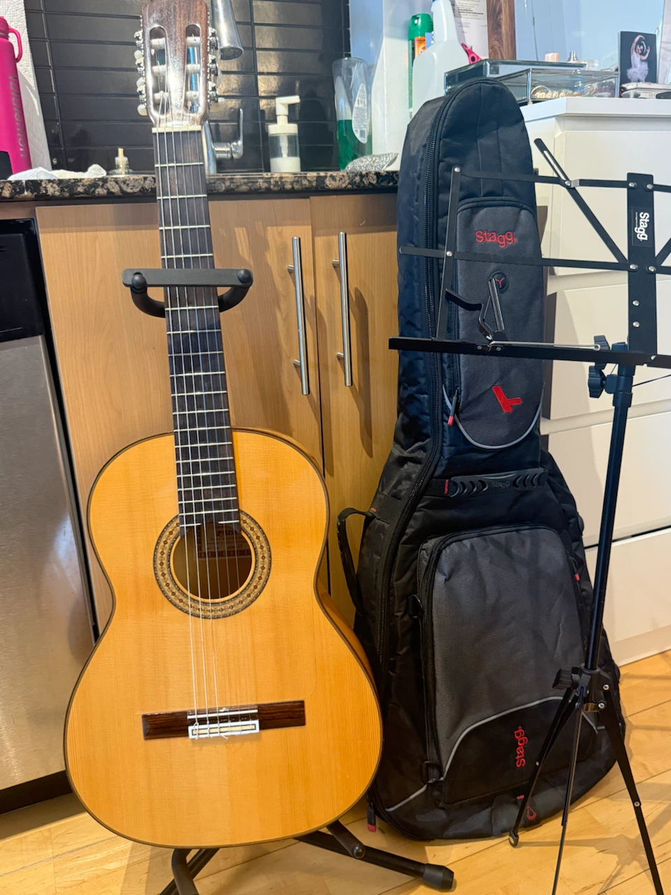 Esteve Classical Guitar with Gig Bag