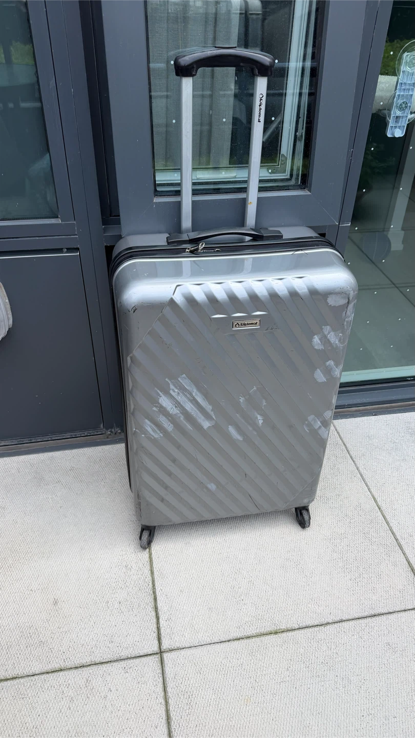 Large Hardside 4-Wheel Luggage