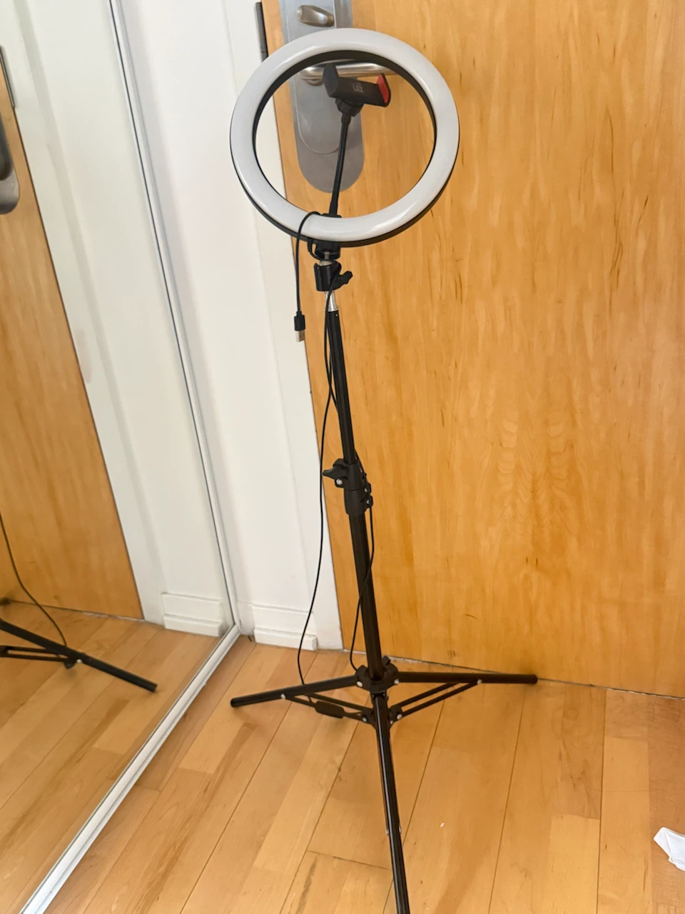 Adjustable Ring Light with Stand