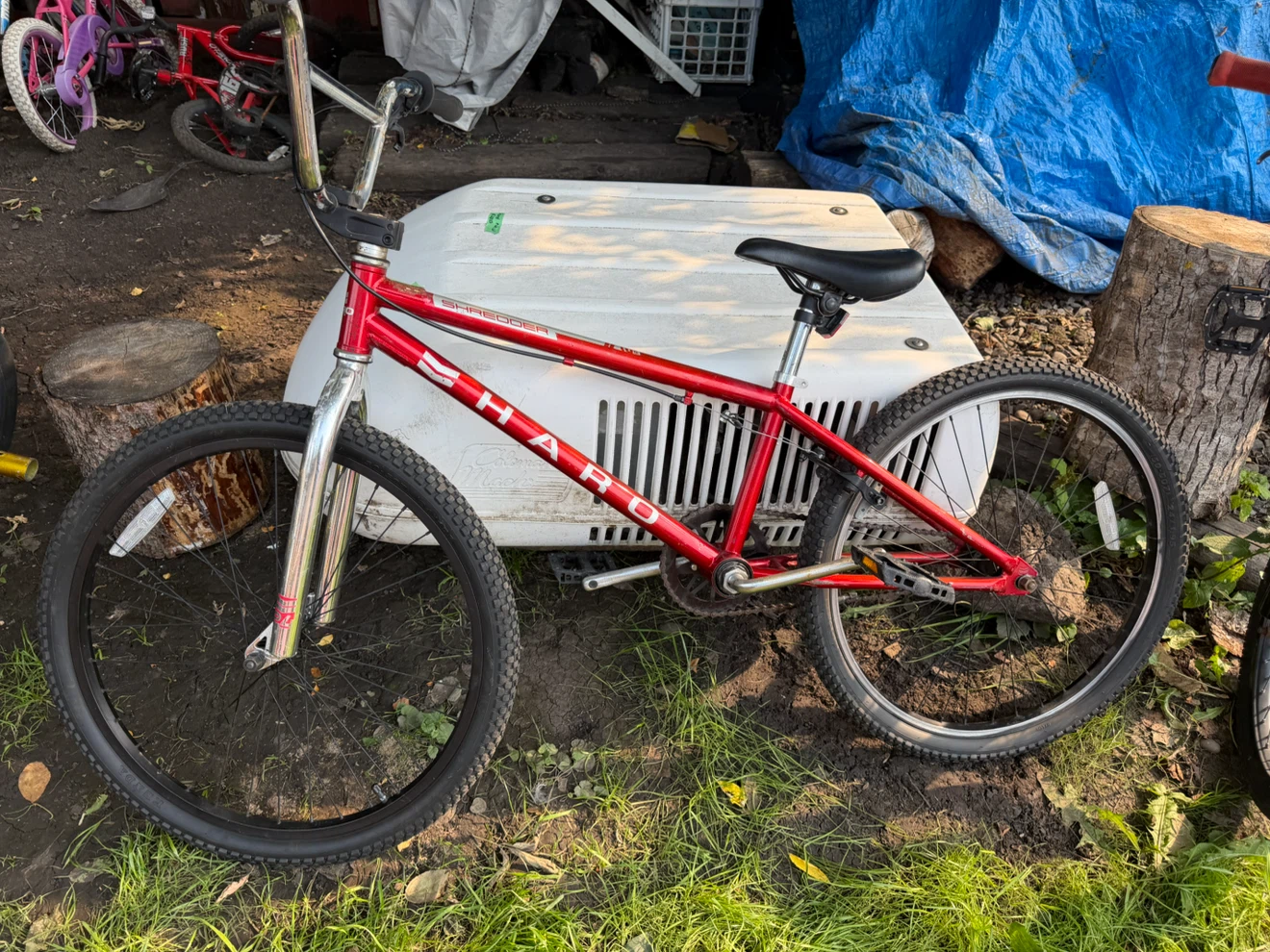 Hearts BMX and other 20" bikes-Posting #2 - photo 4