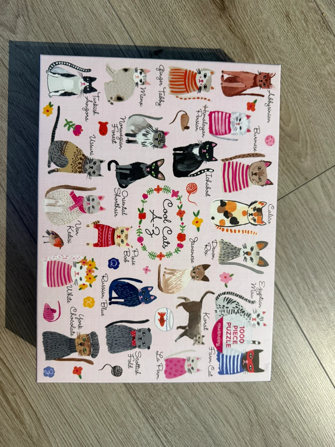 Mudpuppy Cool Cats A-Z 1000 Piece Puzzle