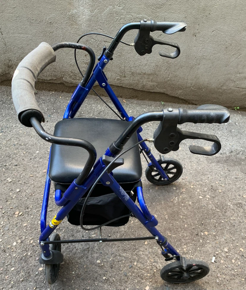 Hugo Blue Walker with Seat and Bag - photo 2