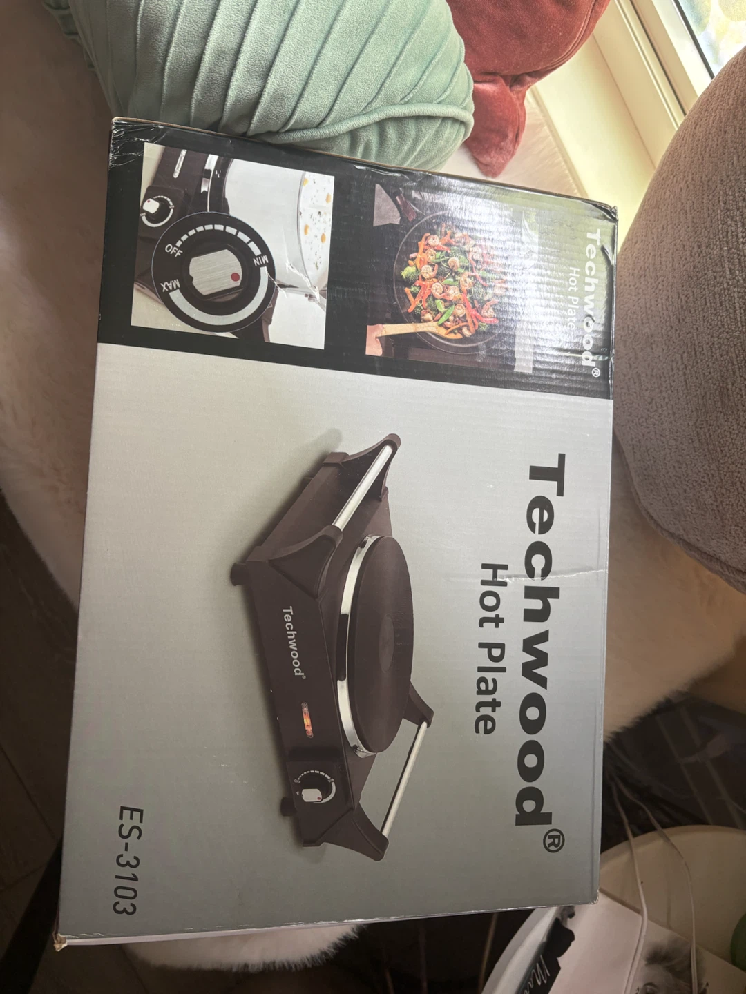 Techwood Hot Plate ES-3103