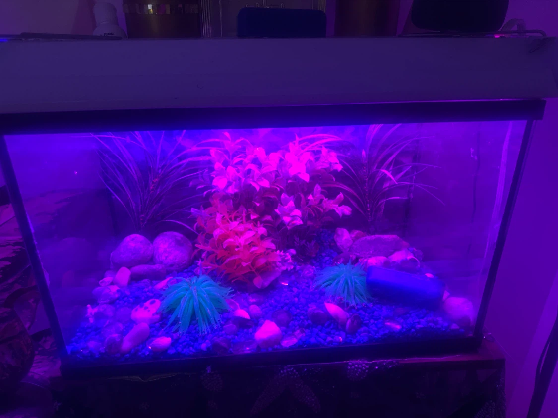 Aquarium