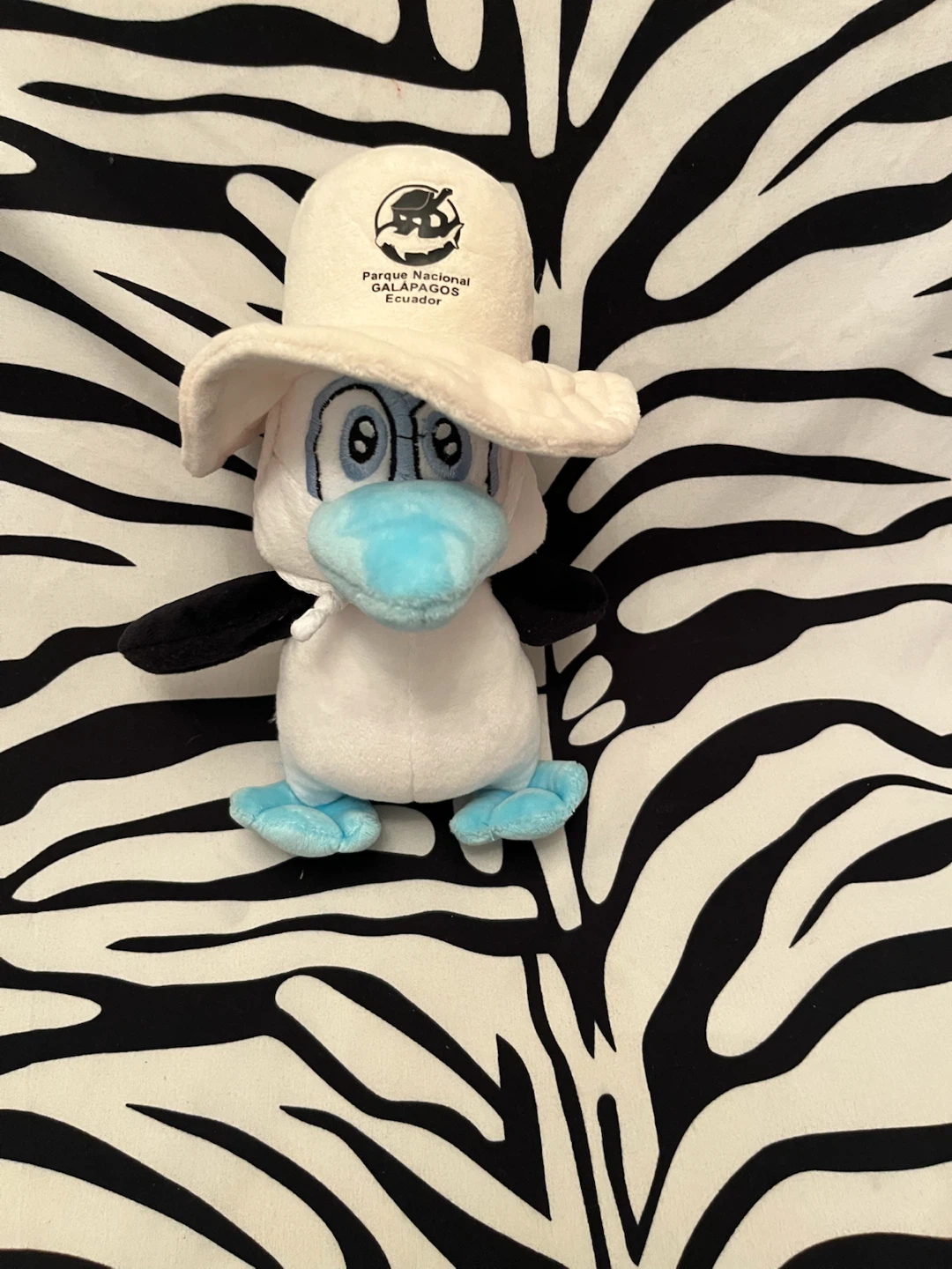🩵 Fermin Booby Galapagos Islands souvenir plush toy 🩵