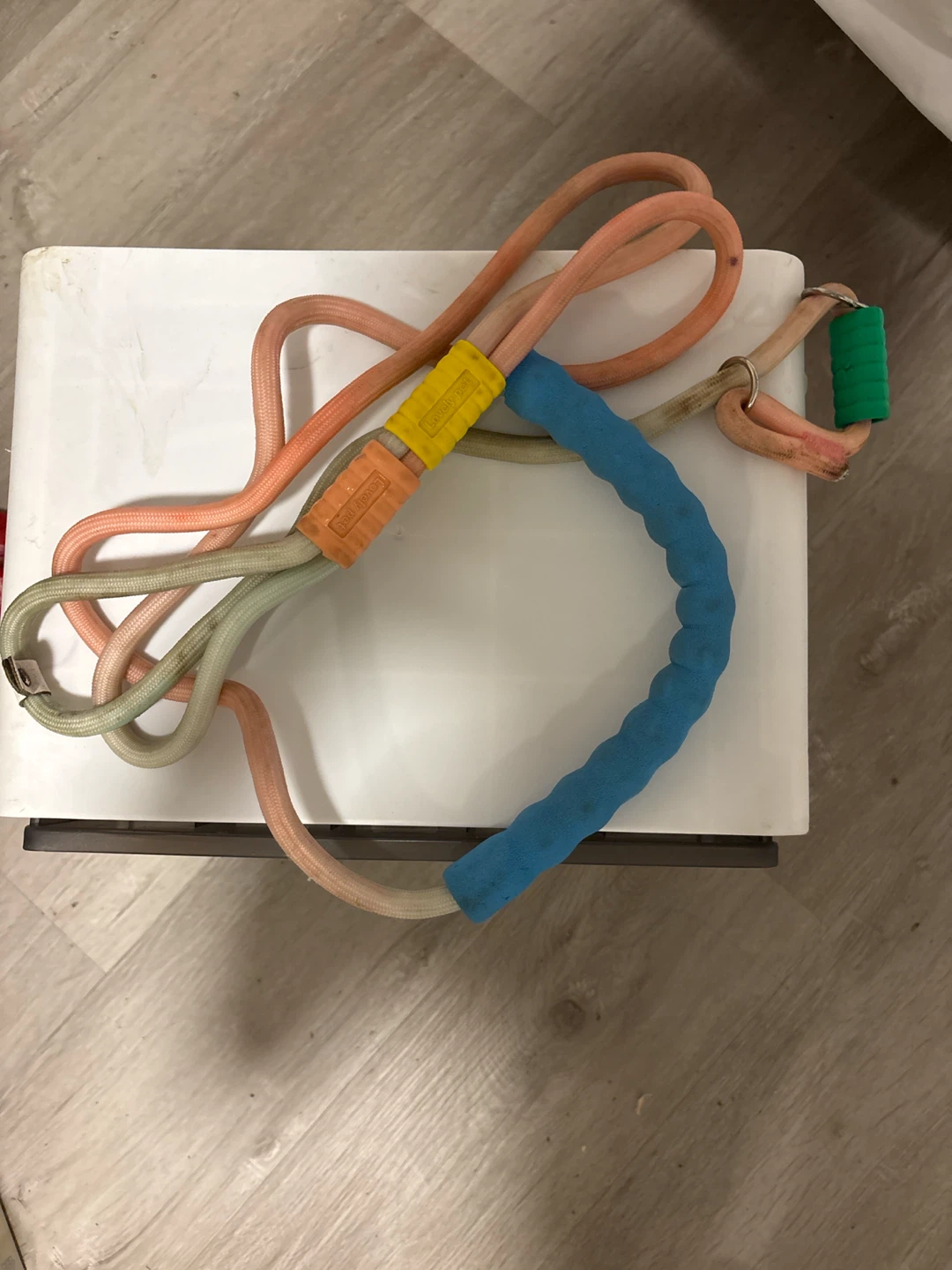 Dog Leash with Padded Handles