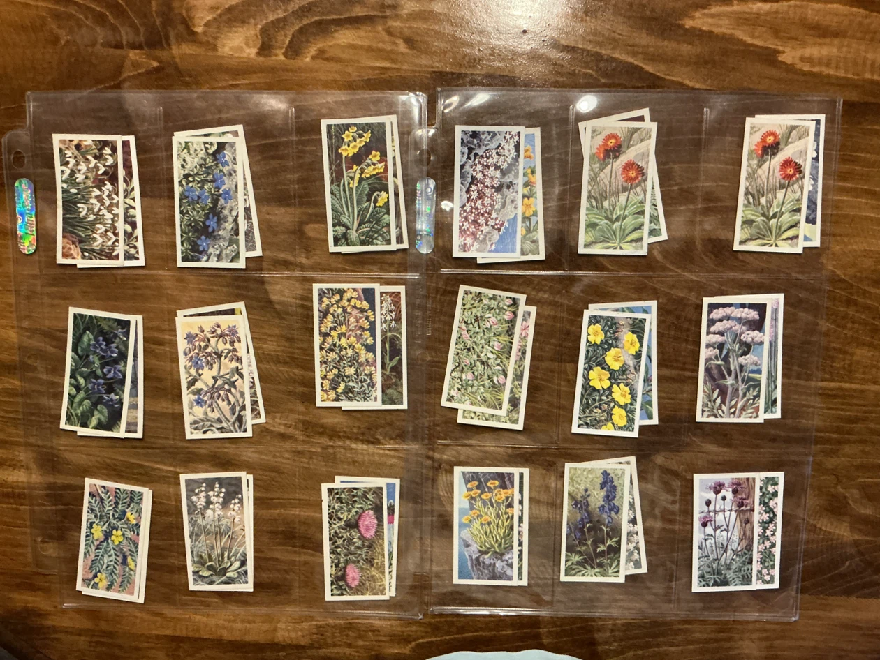41. 1964 Brooke Bond Tea “WILD FLOWERS” Trading Cards Series