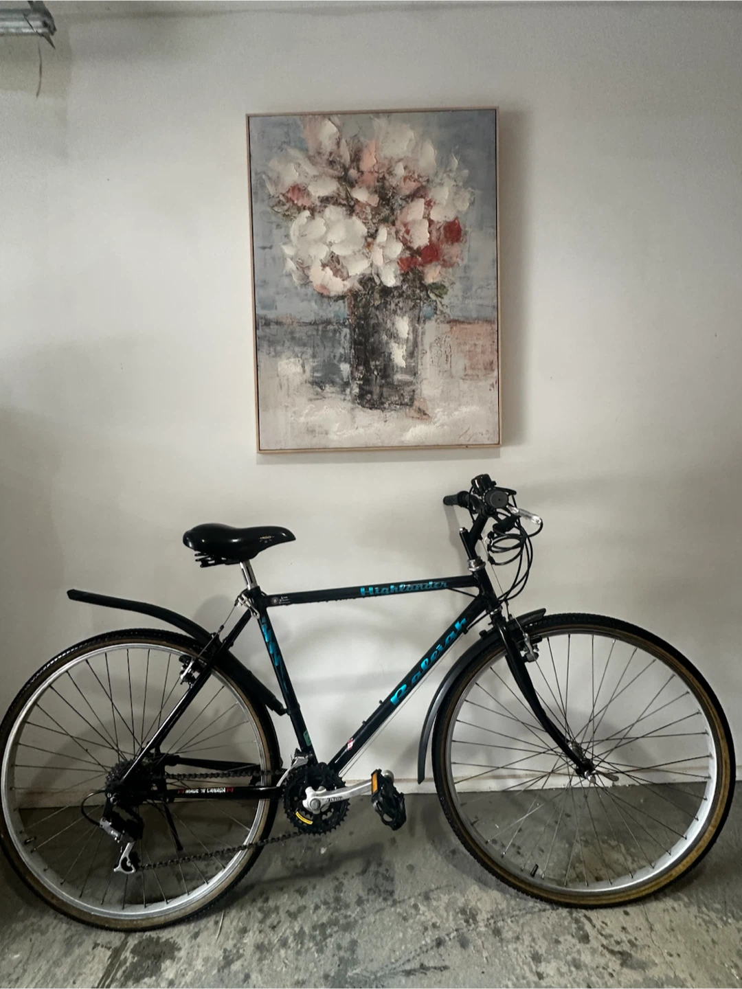 Mountain Bike - Black