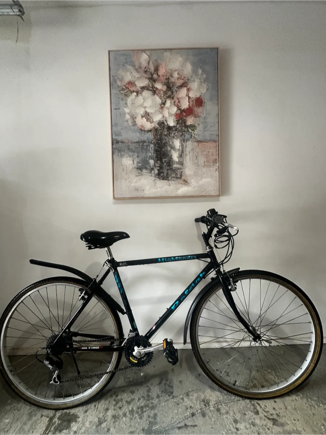 Mountain Bike - Black