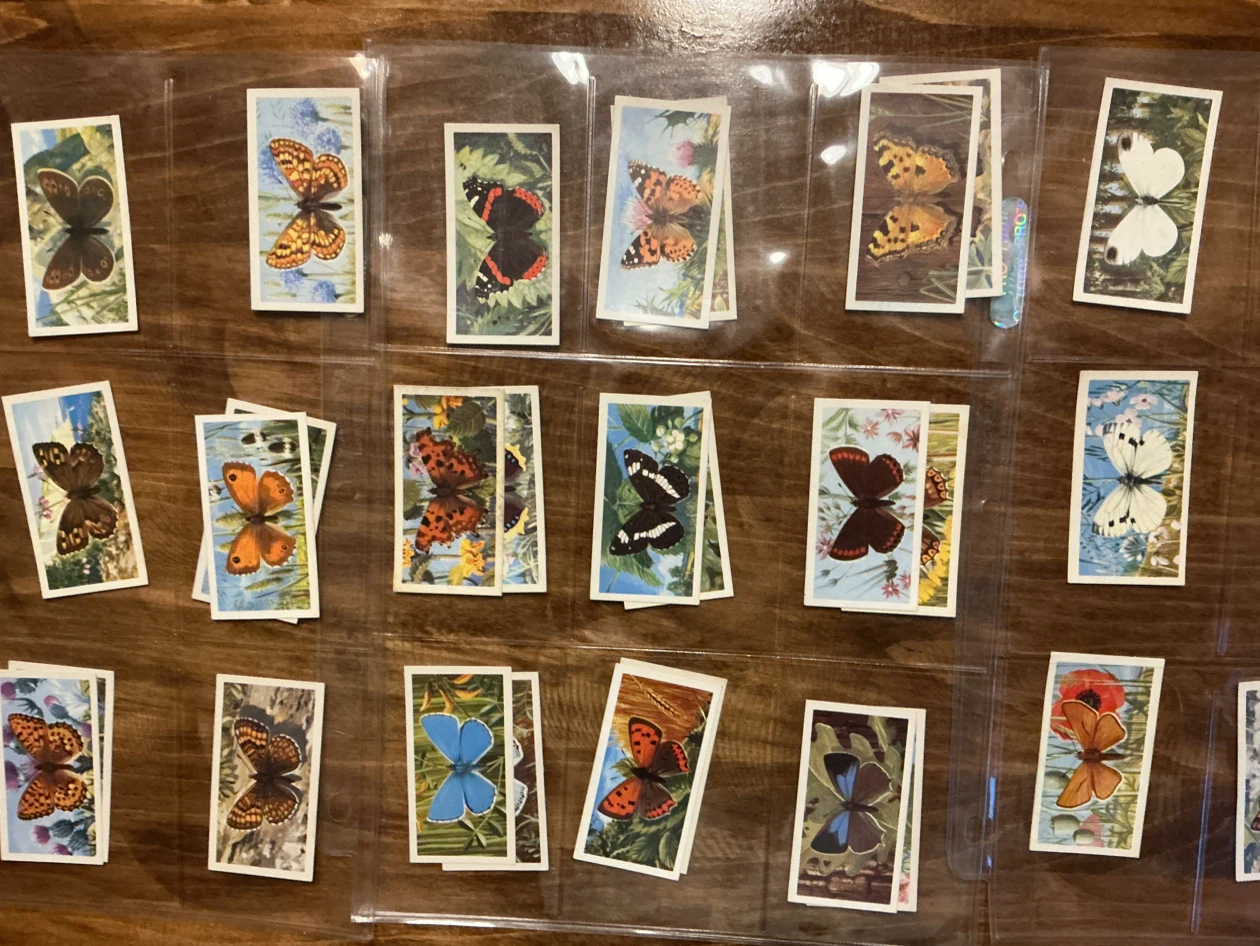38. 1963 Brooke Bond Tea “BRITISH BUTTERFLIES” Cards - photo 3