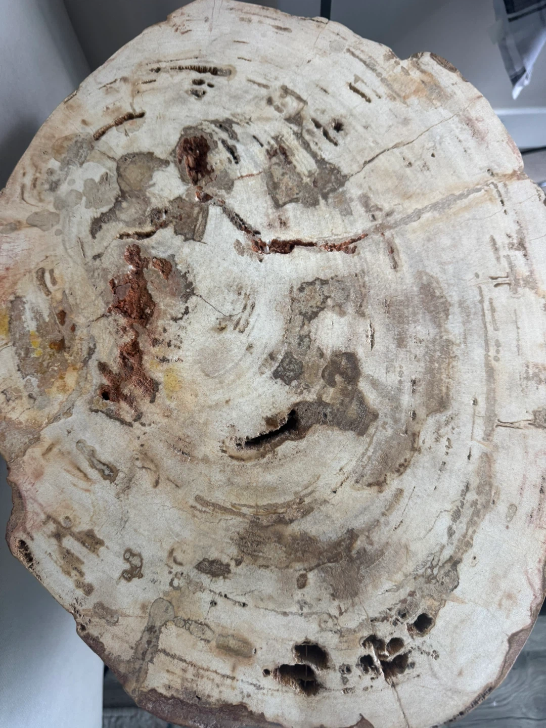 Unique Petrified stone Side Table - photo 2