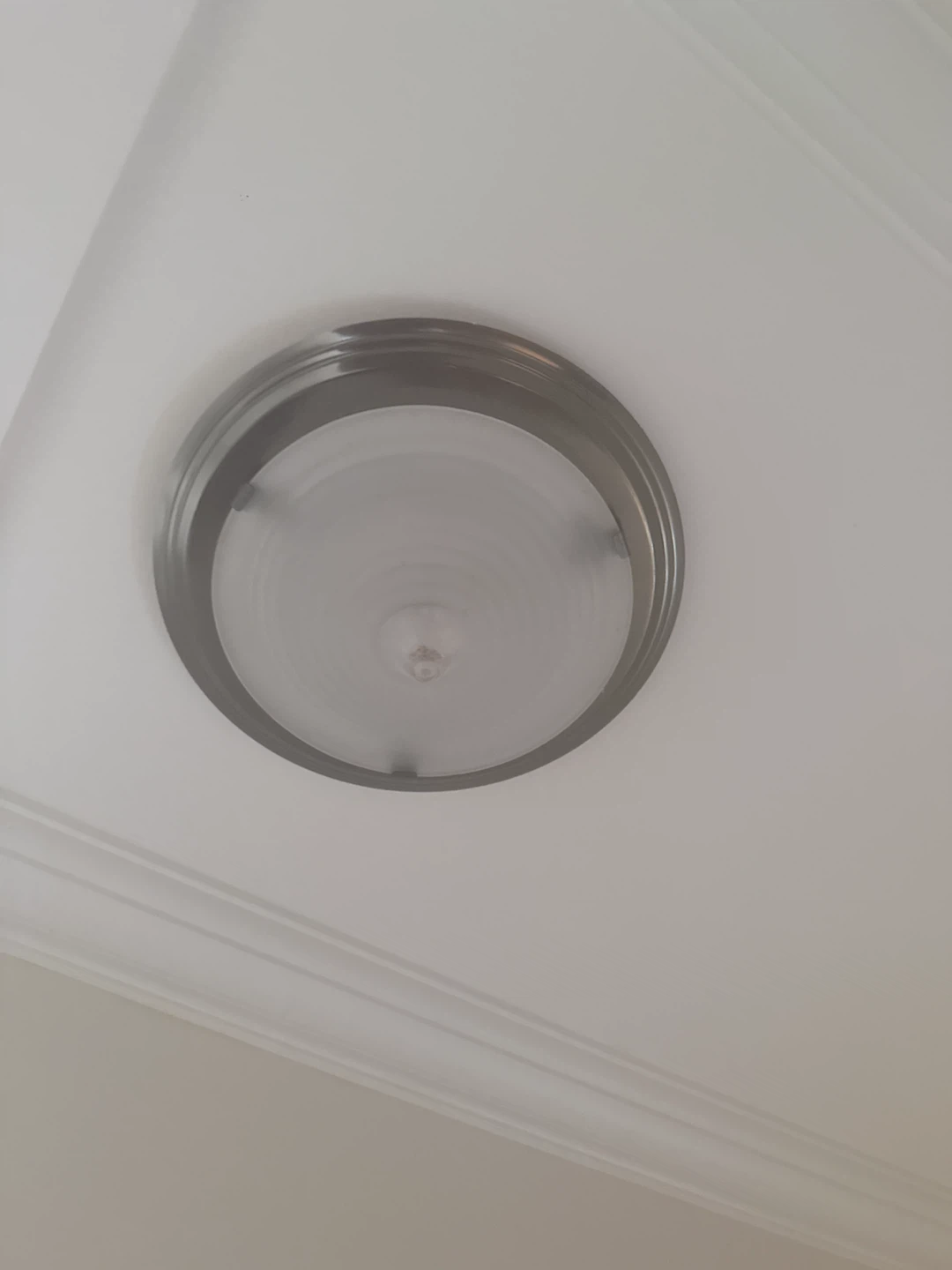 Flush Mount Ceiling Light Fixture