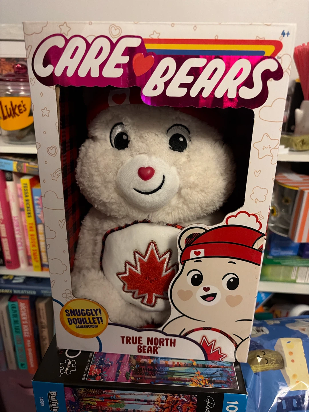 Care Bears True North Bear Plush Toy