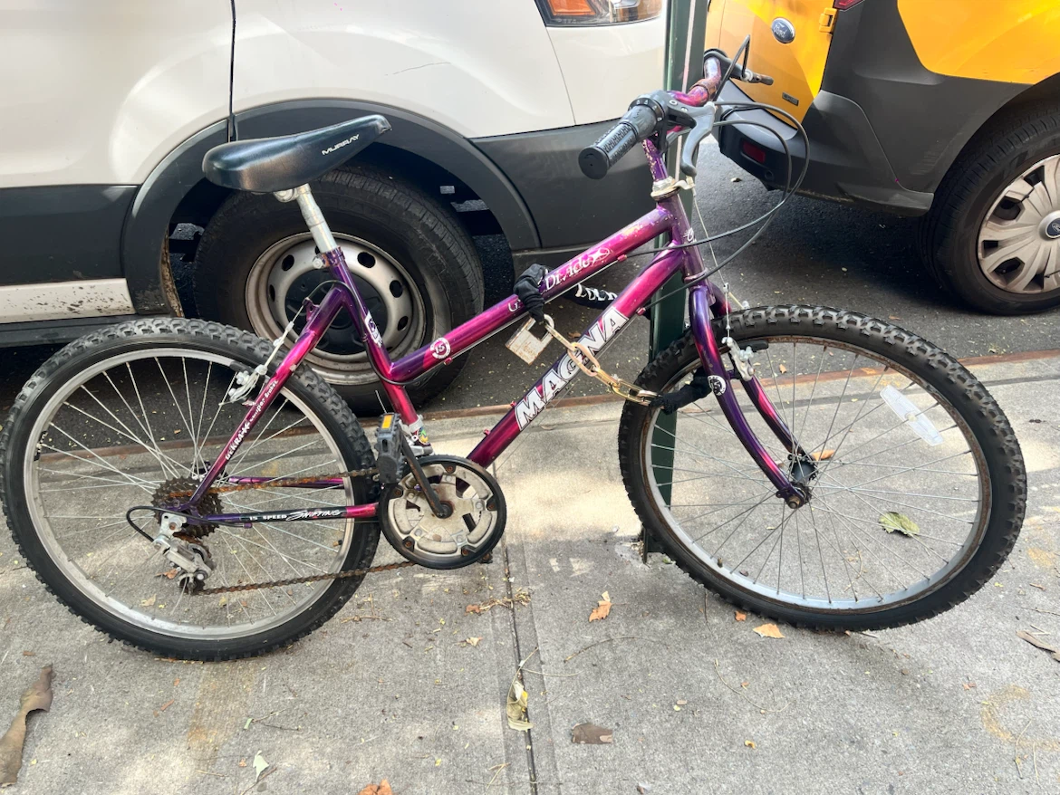 Magna 15-Speed Mountain Bike - Purple/Pink