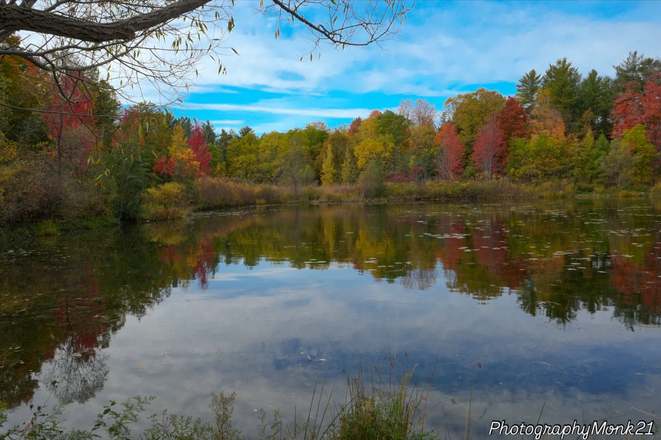 Photography services available - photo 3