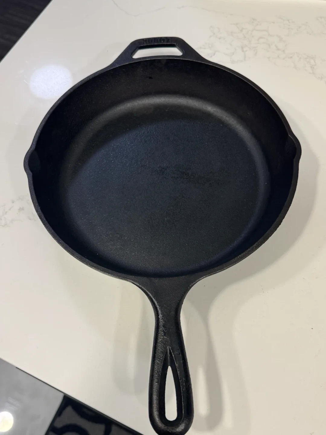 Lodge Cast Iron Skillet