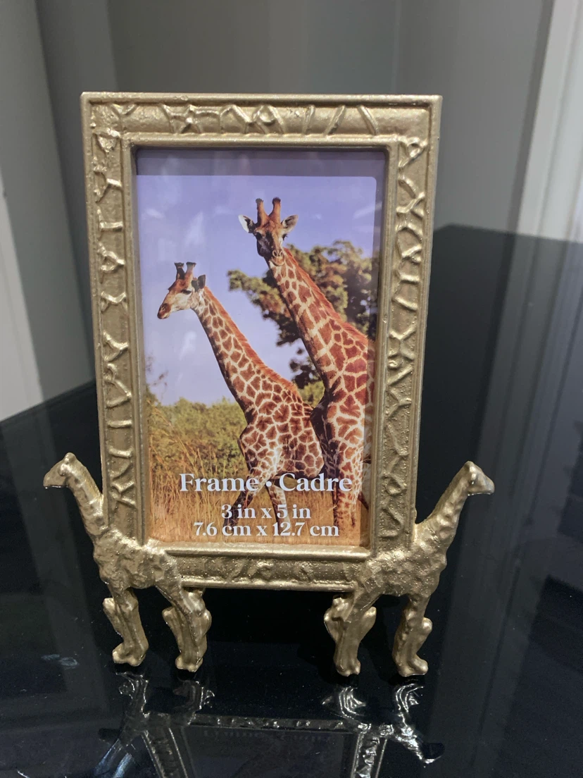 NEW  Safari Giraffe Photo Frame 3" x 5"