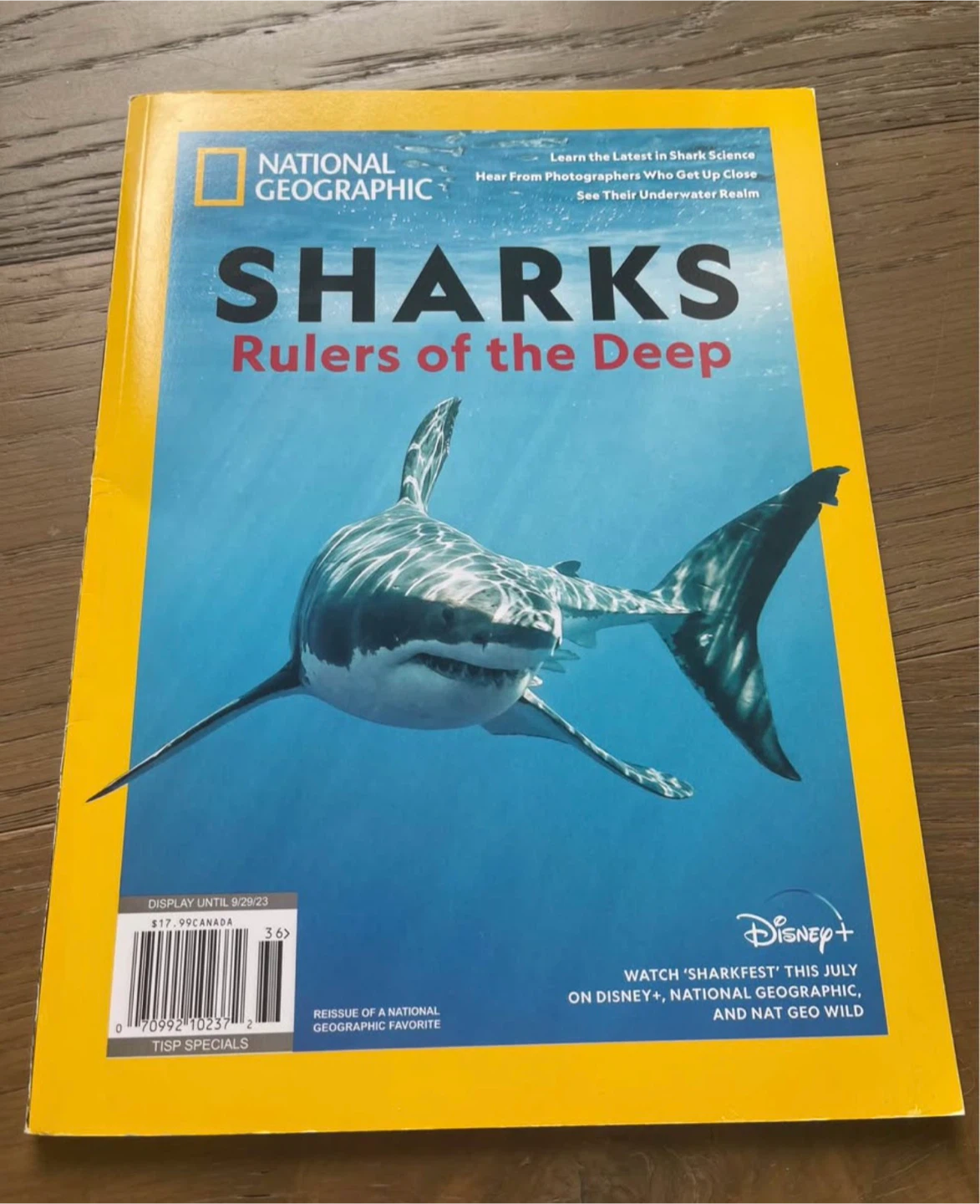 National Geographic Sharks: Rulers of the Deep Magazine
