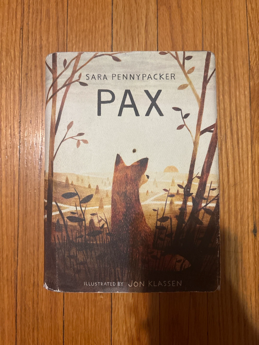Pax by Sara Pennypacker Children's Book